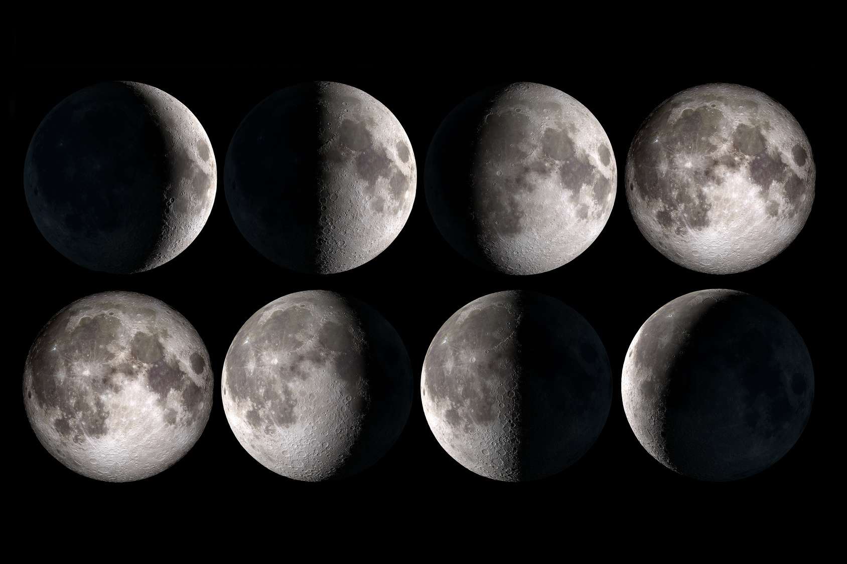 Differentes phases lune